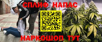 гидропоника Ефремов
