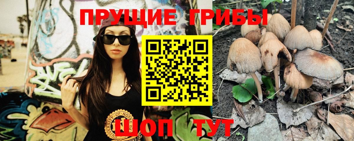 Галлюциногенные грибы GOLDEN TEACHER Домодедово