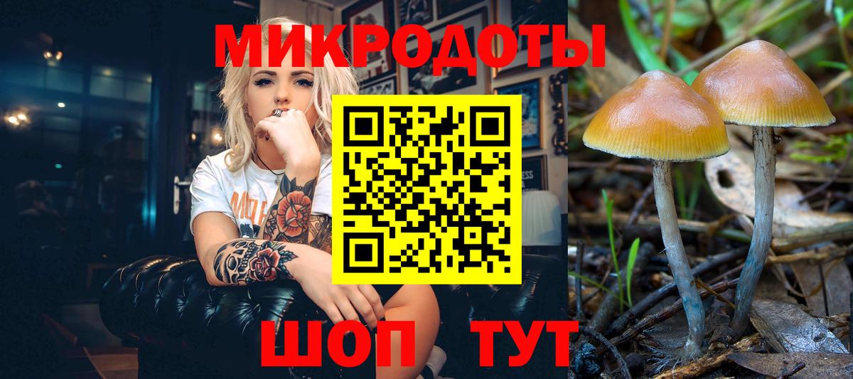 Псилоцибиновые грибы Psilocybe  Галлюциногенные грибы прущие грибы  Вход с VPN  Домодедово 